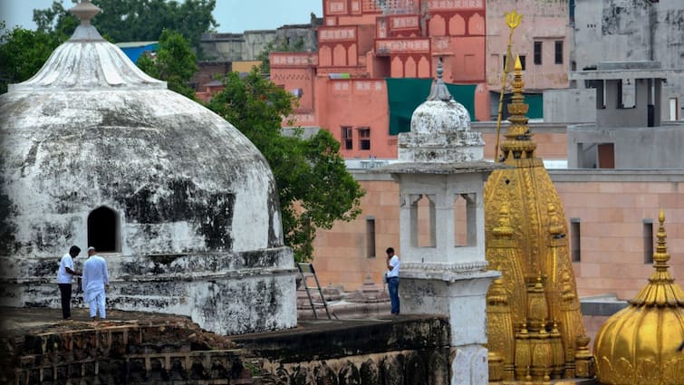 Gyanvapi Mosque Case: ज्ञानवापी की ASI रिपोर्ट पर हिंदू पक्ष के वकील का दावा- मंदिर के अवशेष मिले