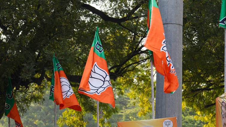 राज्यसभा चुनाव: महाराष्ट्र बीजेपी ने भेजी 9 नामों की लिस्ट, जानिए किन तीन नेताओं का नाम हो सकता है फाइनल